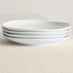 Organic Porcelain Dinner Plate Sets of 4